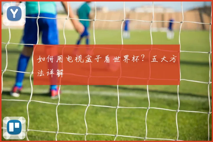如何用电视盒子看世界杯？五大方法详解