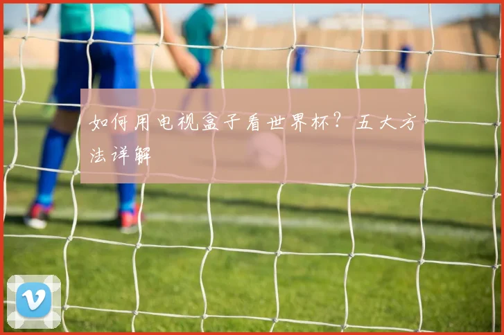 如何用电视盒子看世界杯？五大方法详解